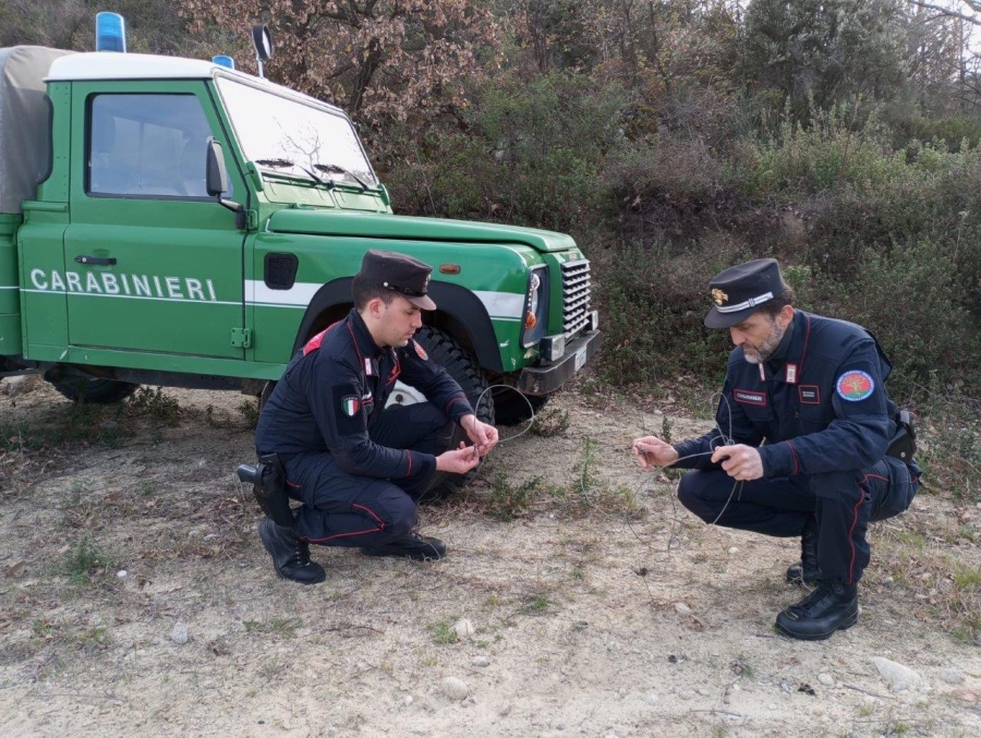 Cotronei (KR): Attività di antibracconaggio svolta dai Carabinieri Forestali all’interno del Parco Nazionale della Sila. 